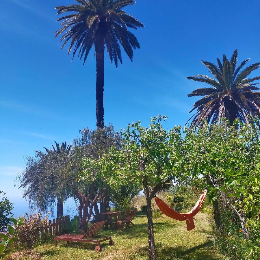 Vistas Del Sur Villa Alajero Ngoại thất bức ảnh